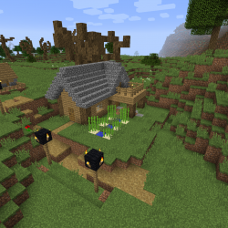 Paper Makers House